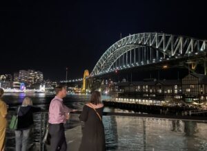 Sydney Harbour Bridge - ATYP's The Resistance